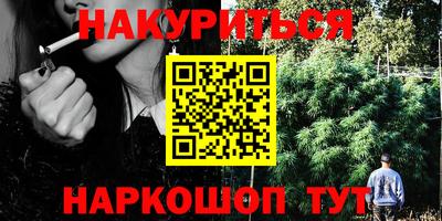 шишки Новозыбков