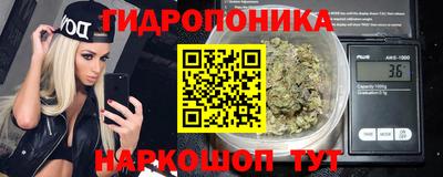 СК Новокубанск