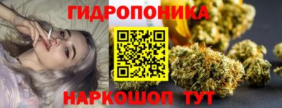 шишки Новозыбков