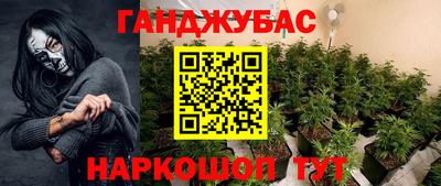 шишки Новозыбков