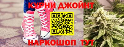 СК Новокубанск